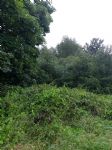 Save Three Sisters campaign Salford 
